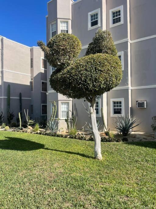 Departamento En 1Er Piso 2 Bdr 2Bath Tezal Apartment Кабо Сан Лукас Екстериор снимка